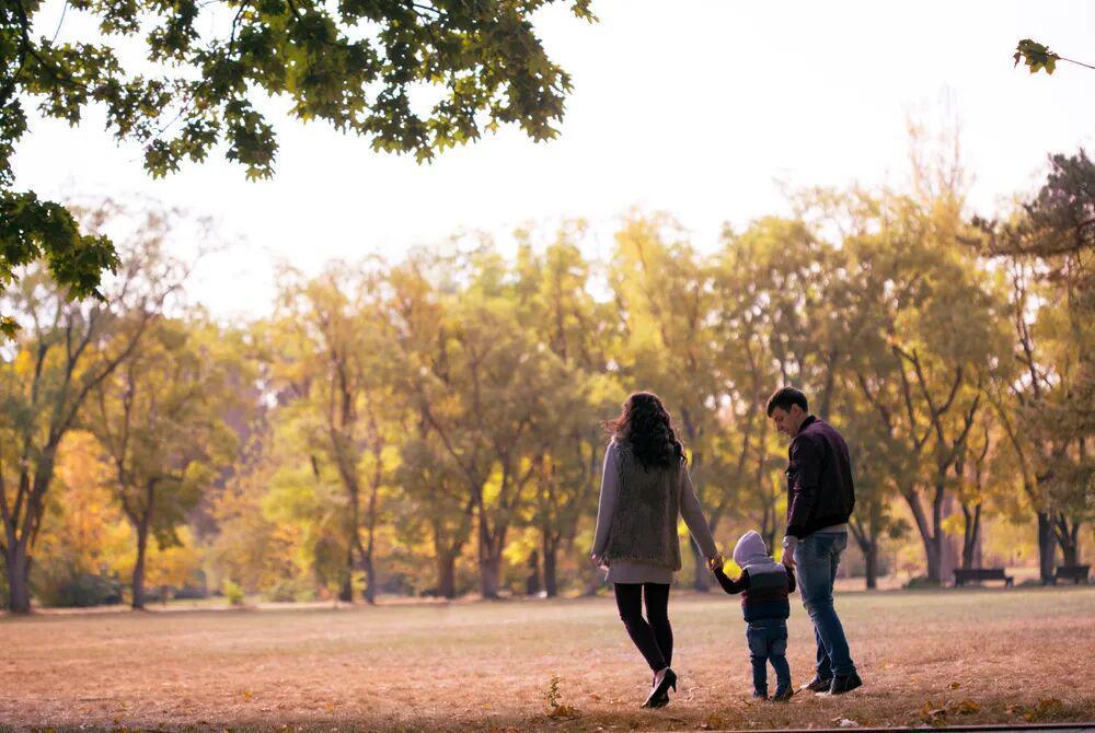 爱游戏app下载-一个家庭要向上走,一定要避谶,避旧,避人
